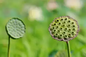 Závěsné Skříňky Pod Strop